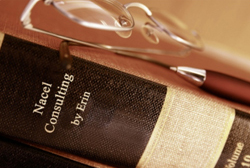 consulting_program_image